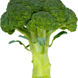 Broccoli